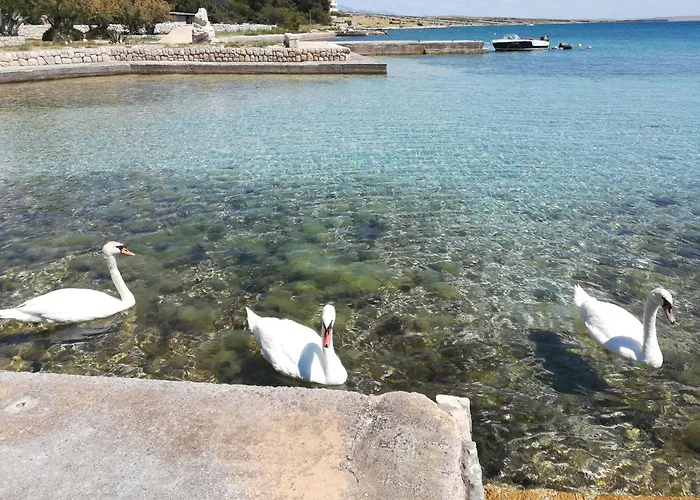Apartments Matosevic-Pag