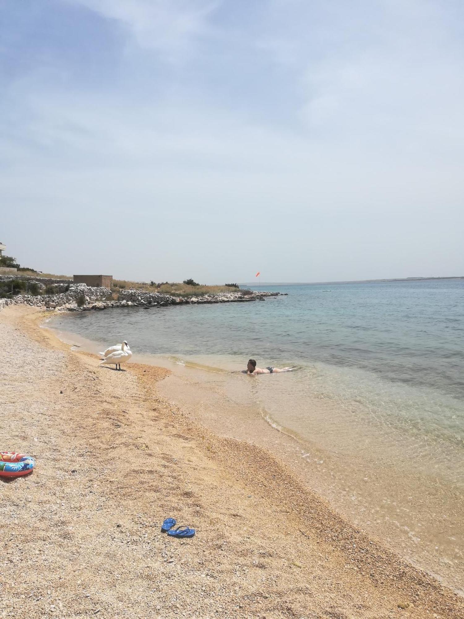 Apartment Matosevic-pag Pag Town